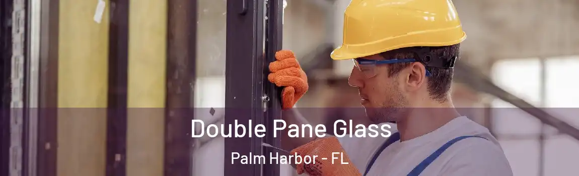 Double Pane Glass Palm Harbor - FL