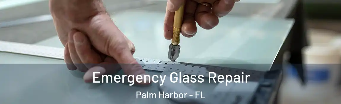 Emergency Glass Repair Palm Harbor - FL