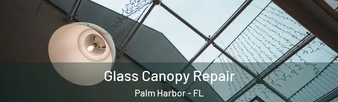 Glass Canopy Repair Palm Harbor - FL