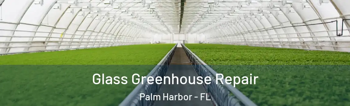 Glass Greenhouse Repair Palm Harbor - FL