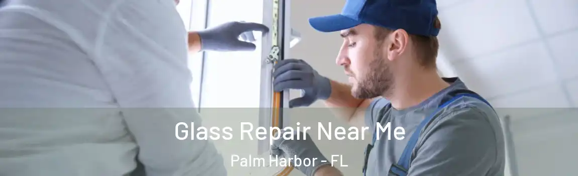 Glass Repair Near Me Palm Harbor - FL