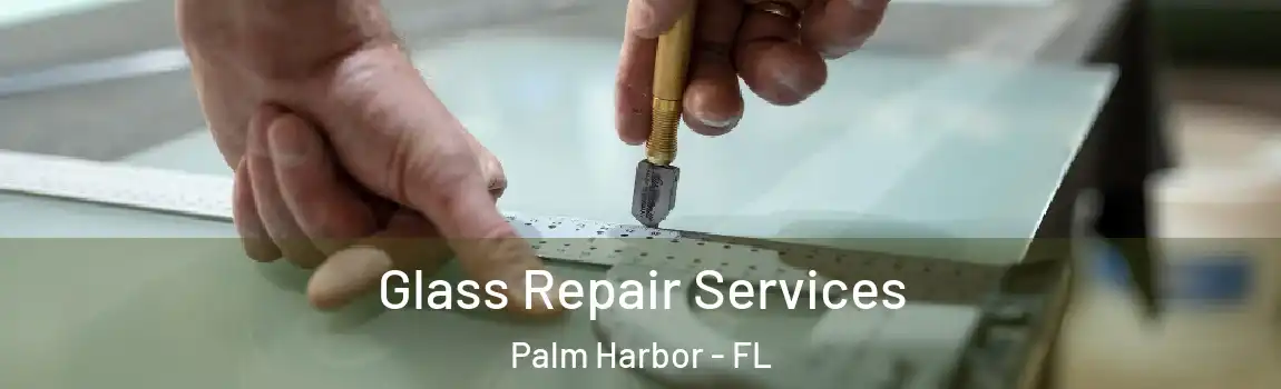 Glass Repair Services Palm Harbor - FL