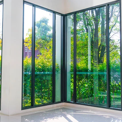 double pane glass in Palm Harbor, FL