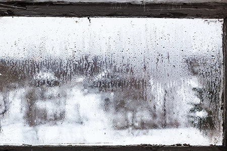 Defogging Double Pane Windows in Palm Harbor, FL