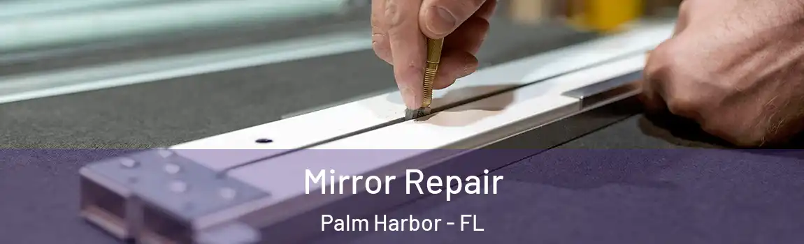 Mirror Repair Palm Harbor - FL