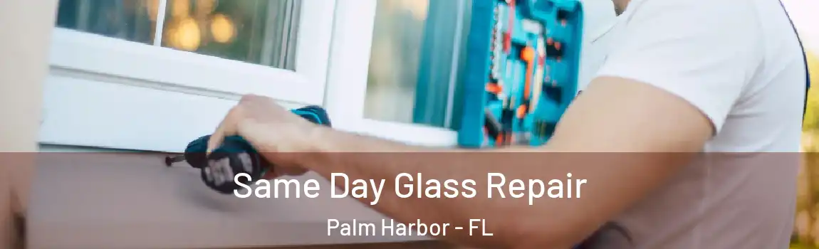 Same Day Glass Repair Palm Harbor - FL