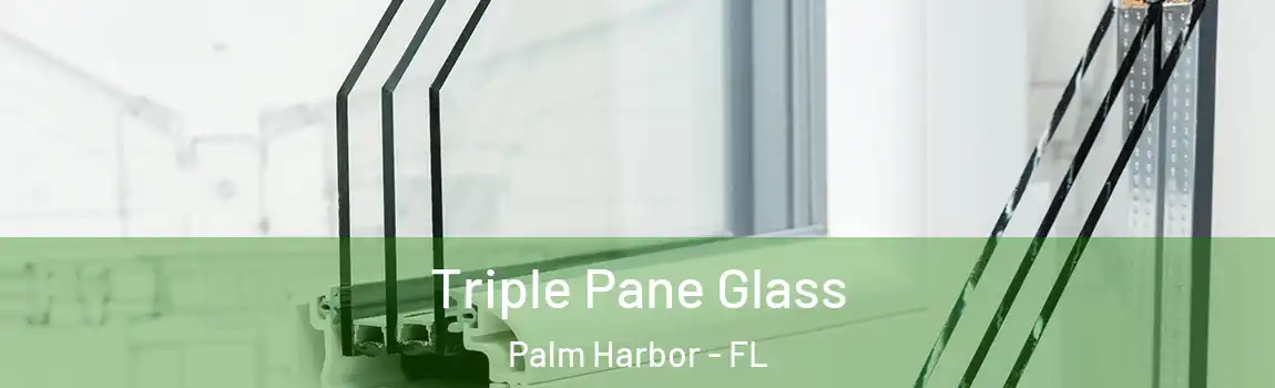 Triple Pane Glass Palm Harbor - FL