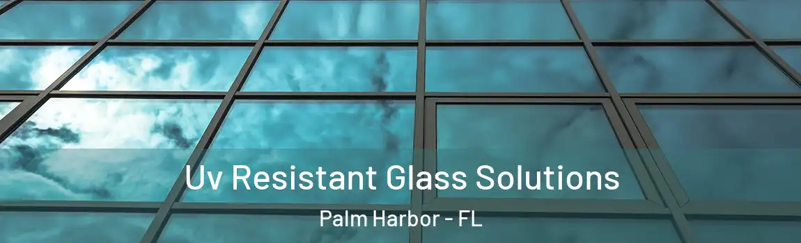Uv Resistant Glass Solutions Palm Harbor - FL