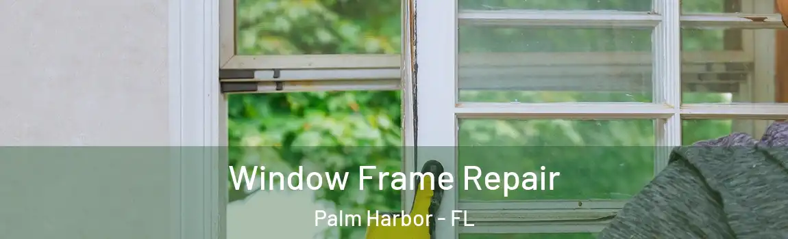 Window Frame Repair Palm Harbor - FL
