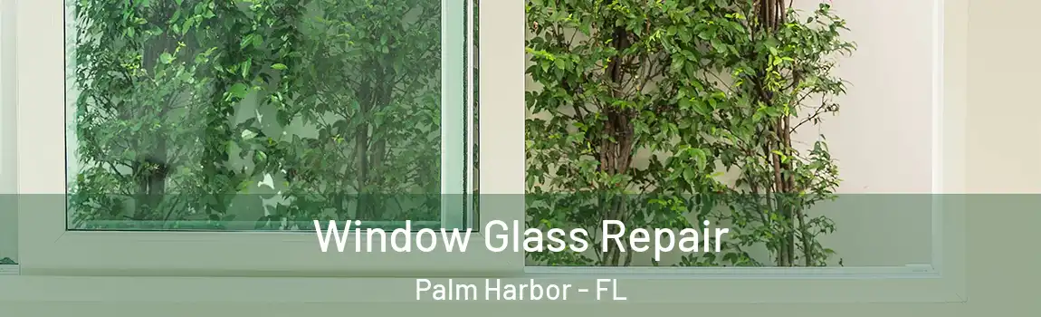 Window Glass Repair Palm Harbor - FL