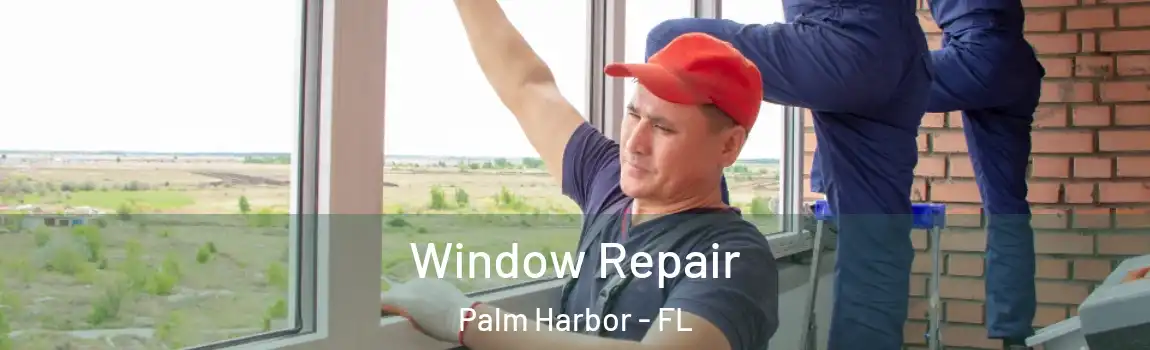 Window Repair Palm Harbor - FL