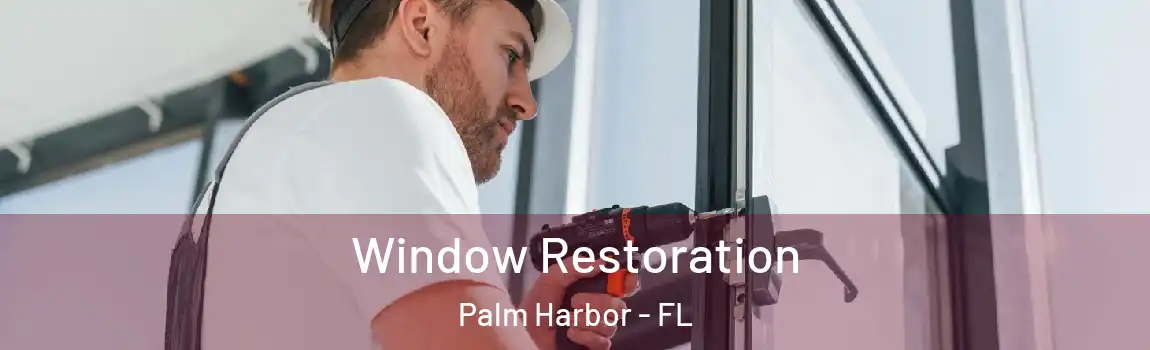 Window Restoration Palm Harbor - FL