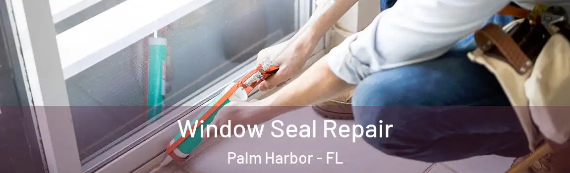 Window Seal Repair Palm Harbor - FL